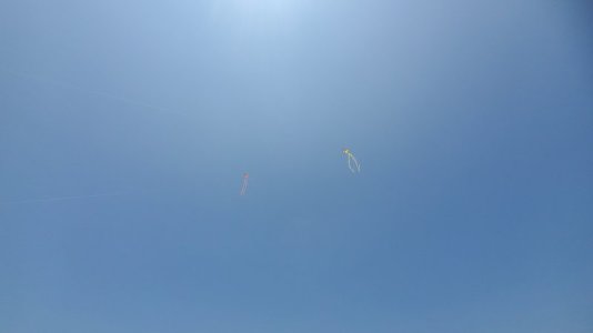 20230527_121645(0).jpg