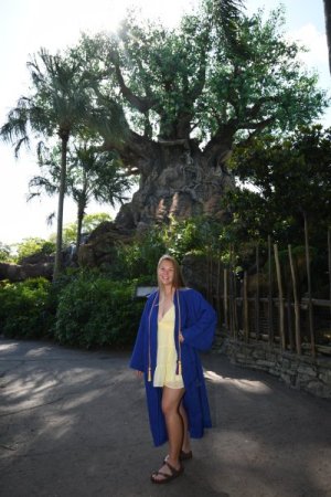 CYM DAK Tree.jpg