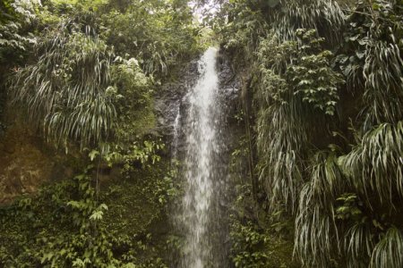 waterfall small.jpg