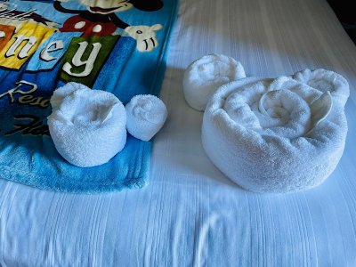 IMG_2023-5-29-112427.jpg