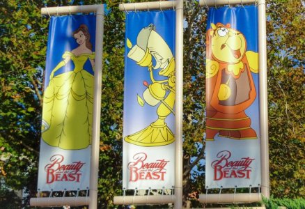 14 WDW-DHS_BBeast 0644.jpg