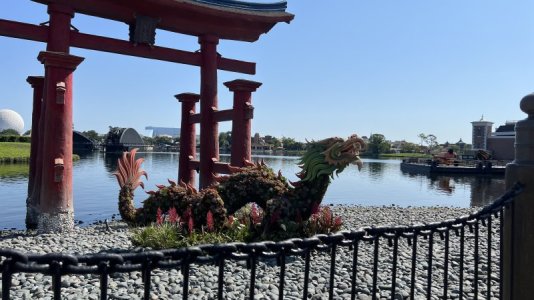 IMG_6854.jpeg