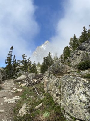 tetons from hike inspiration point looking up.jpeg tetons from hike inspiration point looking up.jpeg