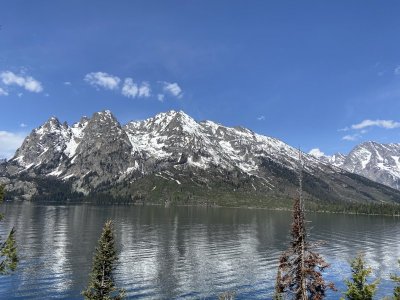 jenny lake hike 2.jpeg