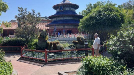 IMG_6882.jpeg
