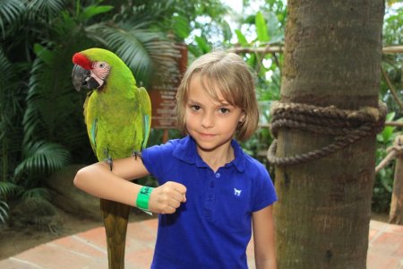 DIEGO SOLANO (10).JPG