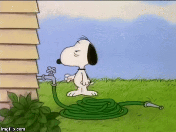 5100e8298c8d7f4ff53d8a3c6974ec36.gif