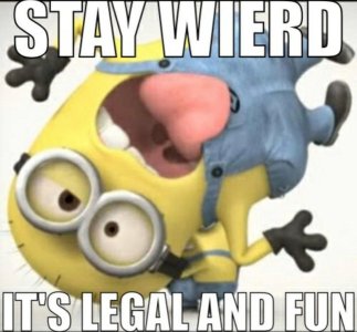 IMG_1433.jpeg