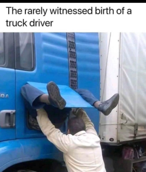 1685644059447.png
