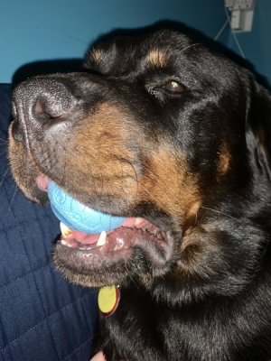 Ball.jpg