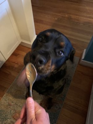 peanut butter spoon.jpg