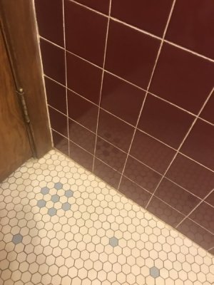 IMG_4808.jpeg