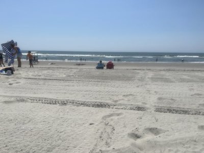 IMG_1639.jpeg
