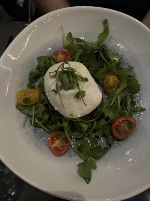 IMG_0402.jpeg