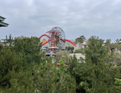 IMG_0870.jpeg