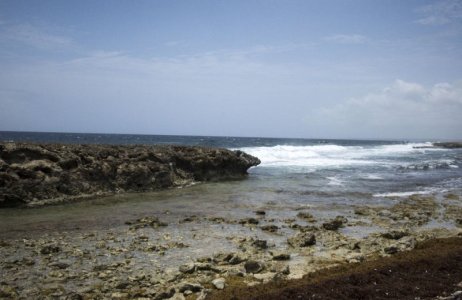 curaocean s.jpg