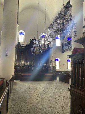 IMG_7862.jpeg