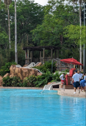 AKL pool slide.png