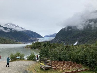 IMG_4351.jpeg