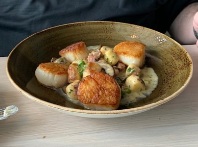 NARC SCALLOPS.jpg