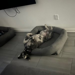 IMG_1328.jpeg