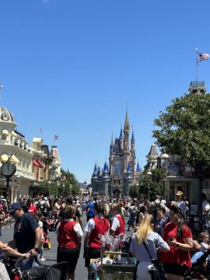 IMG_8340[1].JPG