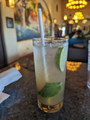 mintjulepcocktail.jpg