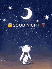 IMG_1647.gif