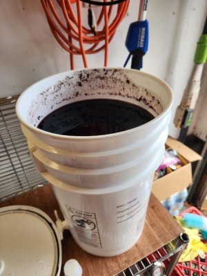 20230609_114035.jpg