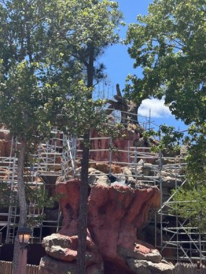 IMG_8356[1].JPG