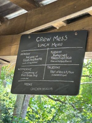IMG_8380[1].JPG