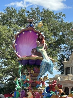 IMG_8393[1].JPG
