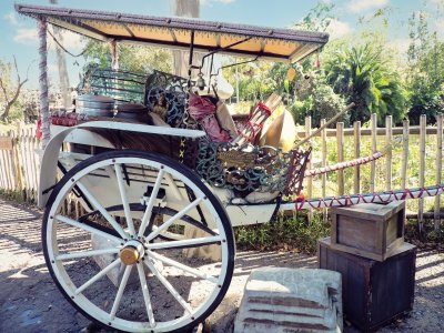 18 WDW-AK AS 8623-Edit-2.jpg