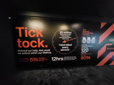 20230317_095111.jpg