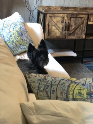 IMG_2470.jpeg