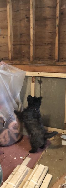 IMG_1445.jpeg