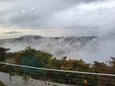 20230317_191346.jpg