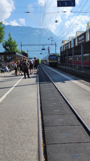 20230611_090917.jpg