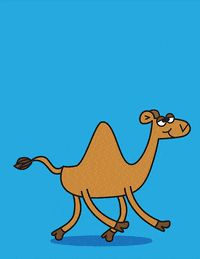 IMG_1653.gif