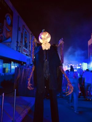 IMG_0948.jpeg