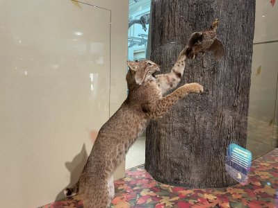IMG_8654.jpeg