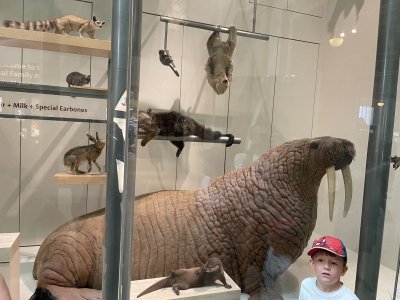 IMG_8662.jpeg