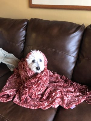IMG_3061_Original.jpeg