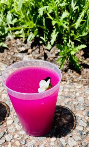 IMG_2023-6-18-112326.jpg