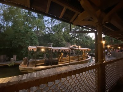 D866DA8B-AA11-4D96-AA80-32BF53DB54C2_1_105_c.jpeg