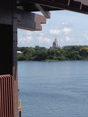 IMG_5021.jpeg