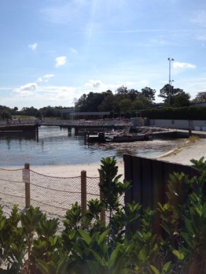 IMG_5005.jpeg