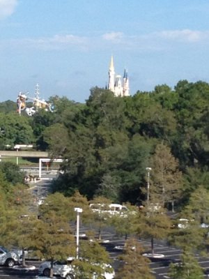 IMG_4969.jpeg