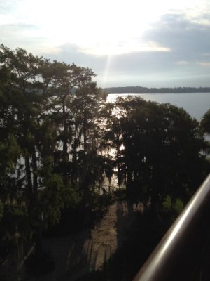IMG_4976.jpeg