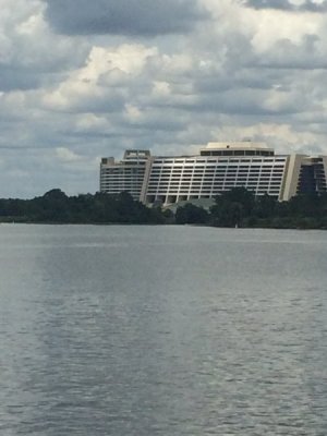 IMG_7295.jpeg